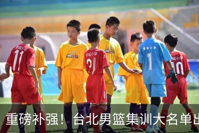重磅补强！台北男篮集训大名单出炉，双归化压阵，中国男篮迎硬仗